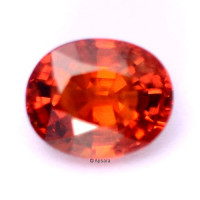 Spessartite Garnet - 1015959