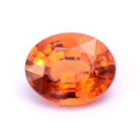 Spessartite Garnet - 1016008