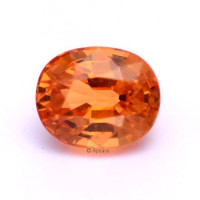 Spessartite Garnet - 1106843