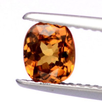 Andradite Garnet - 1156990