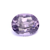 Purple Spinel - 1187047