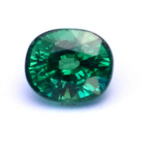 Tsavorite Garnet - 1197060