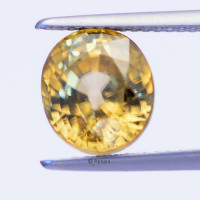 Yellow Zircon - 1257173