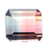 Bi-Coloured Tourmaline - 1257165