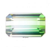 Bi-Coloured Tourmaline - 1257178