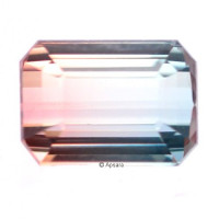 Bi-Coloured Tourmaline - 1257166