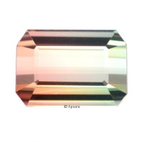 Bi-Coloured Tourmaline - 1257168