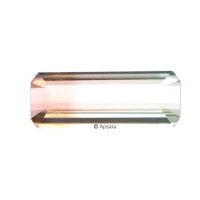 Bi-Coloured Tourmaline - 1257177